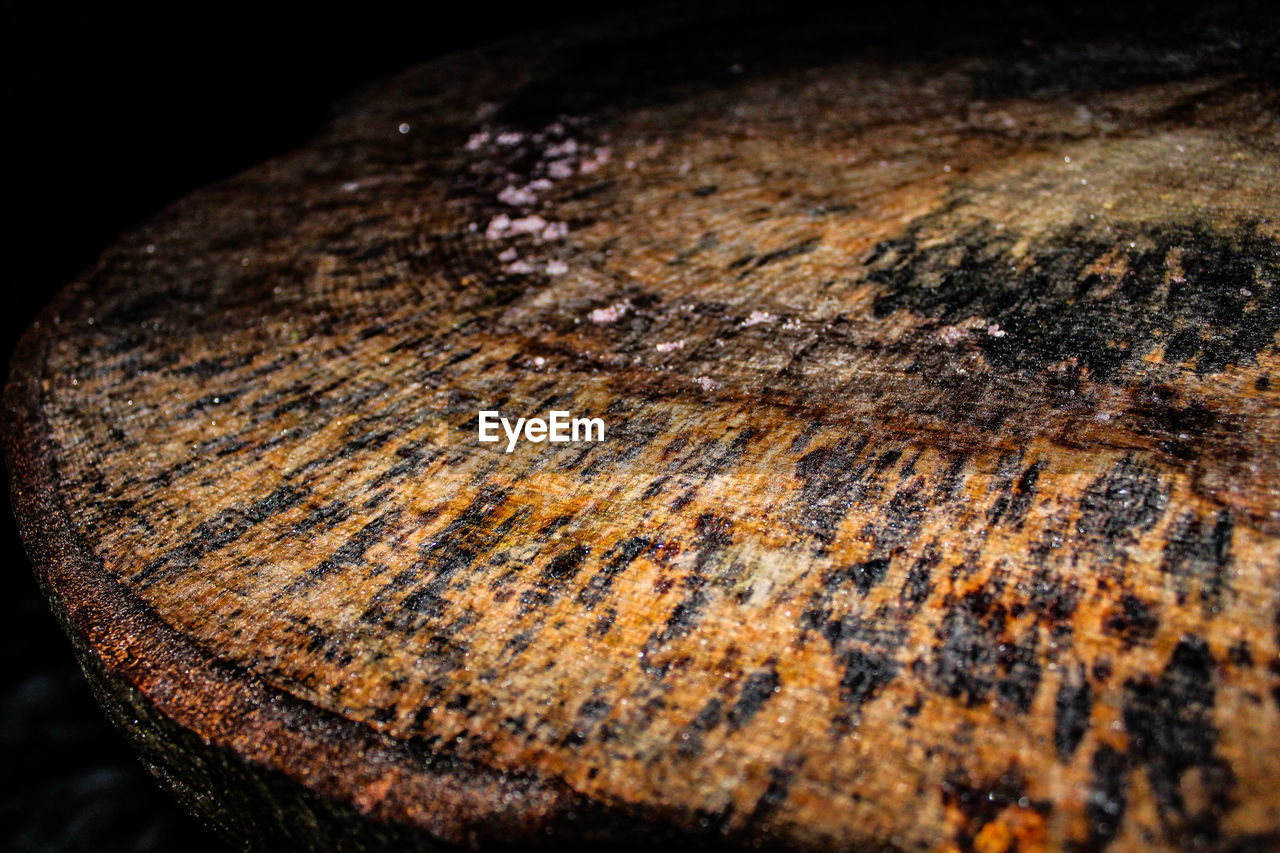 CLOSE-UP OF WOOD TREE STUMP