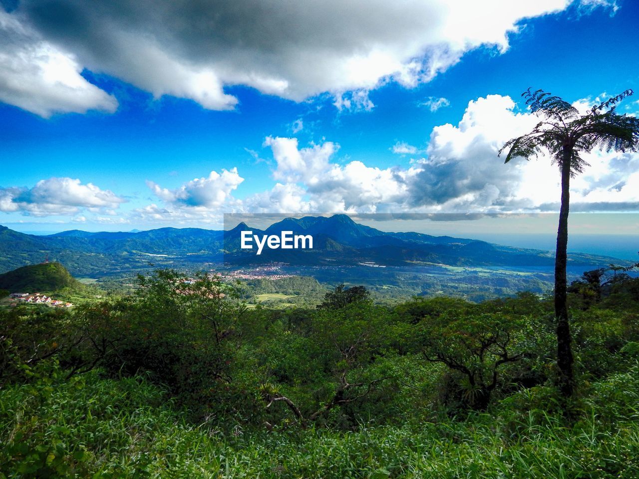 SCENIC VIEW OF GREEN LANDSCAPE AGAINST SKY
