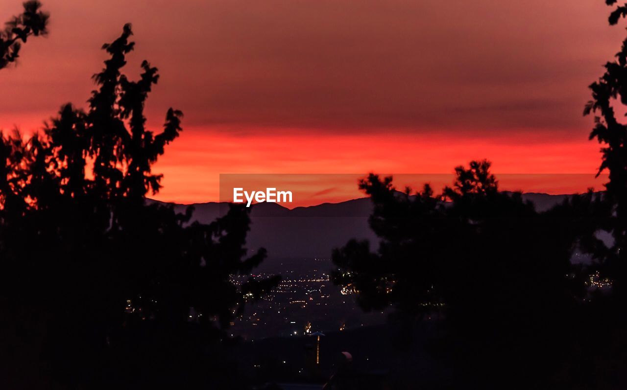 Silhouette trees against sky during sunset