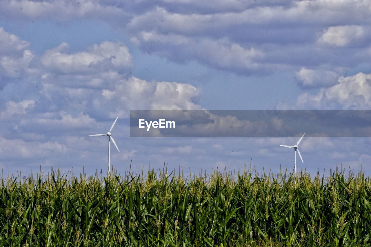 Wind turbines on field against sky