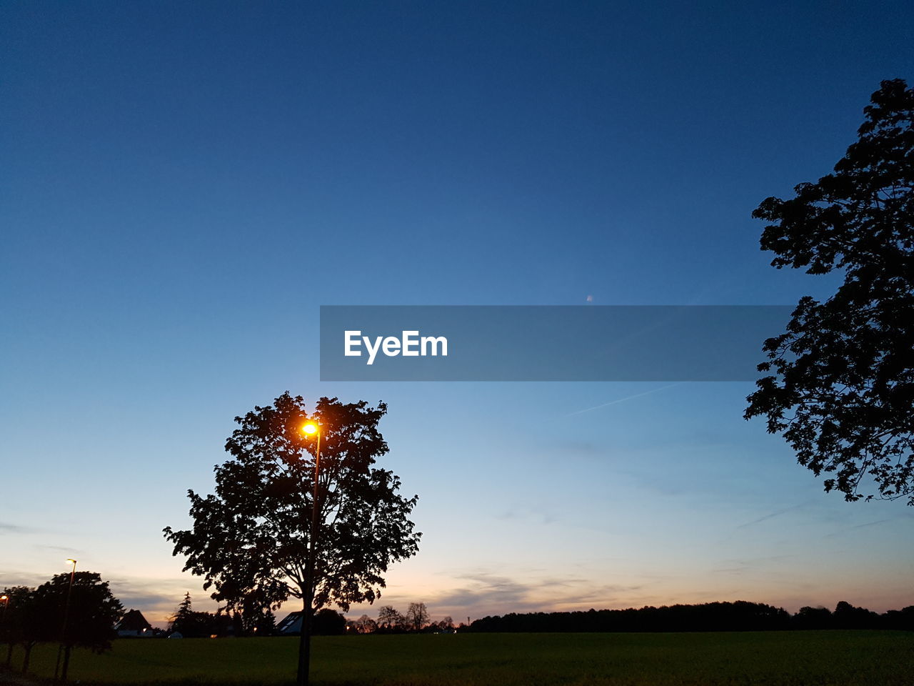 Silhouette trees on field against blue sky during sunset