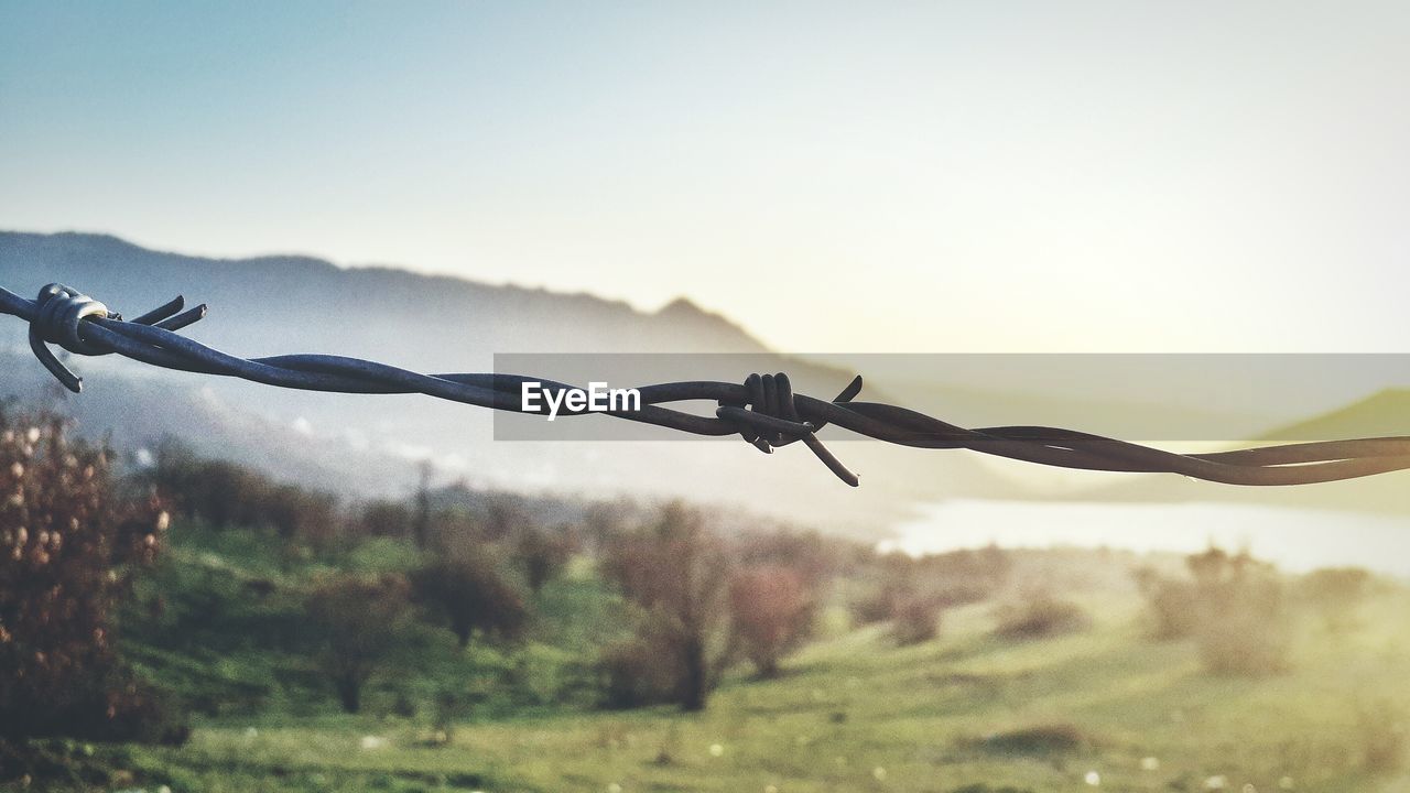 Close-up of barbed wire