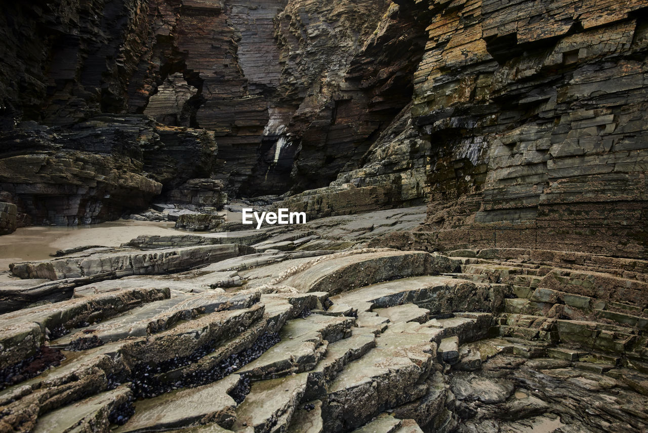 AERIAL VIEW OF TREES ON ROCK