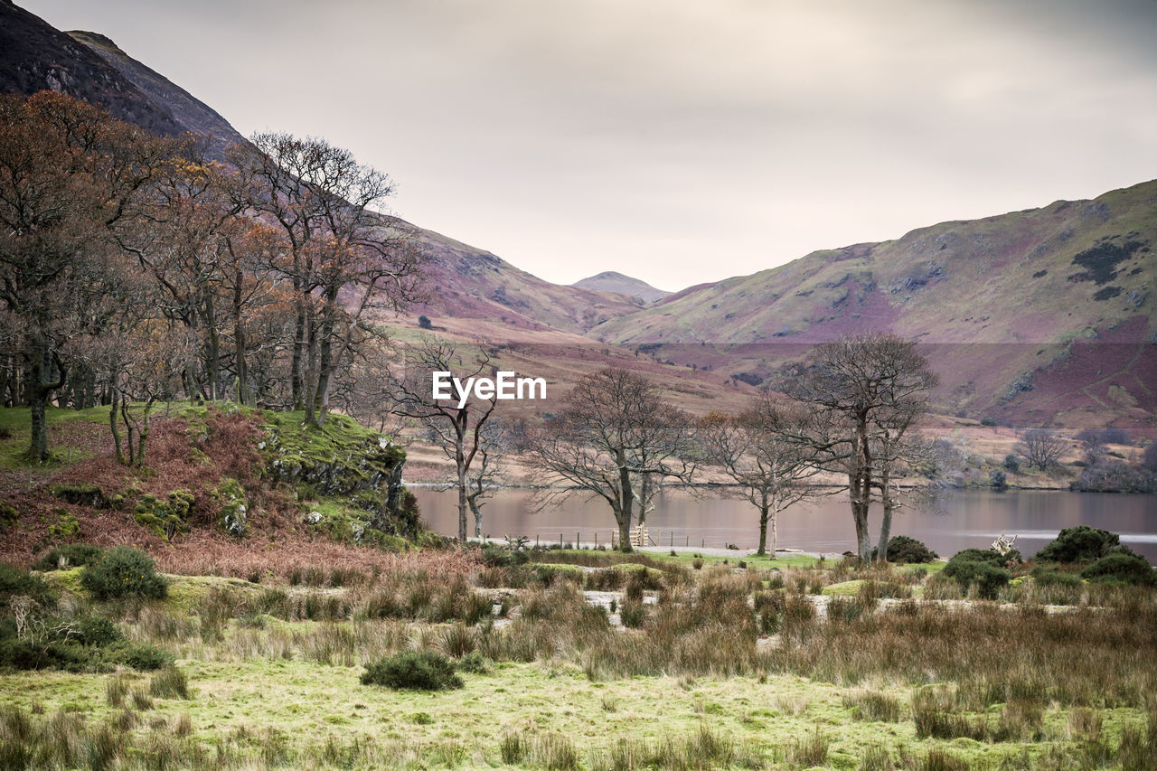 Scenic view of field and mountains against sky