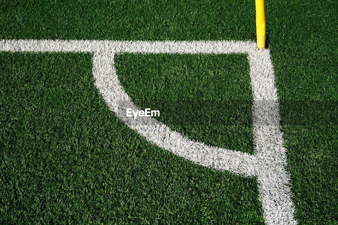 HIGH ANGLE VIEW OF SOCCER FIELD AND PLANTS