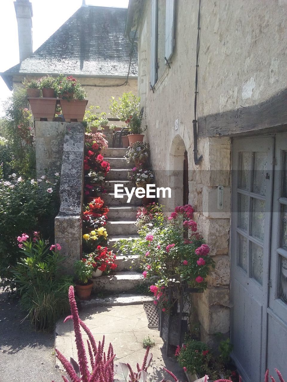 POTTED PLANTS ON HOUSE WINDOW