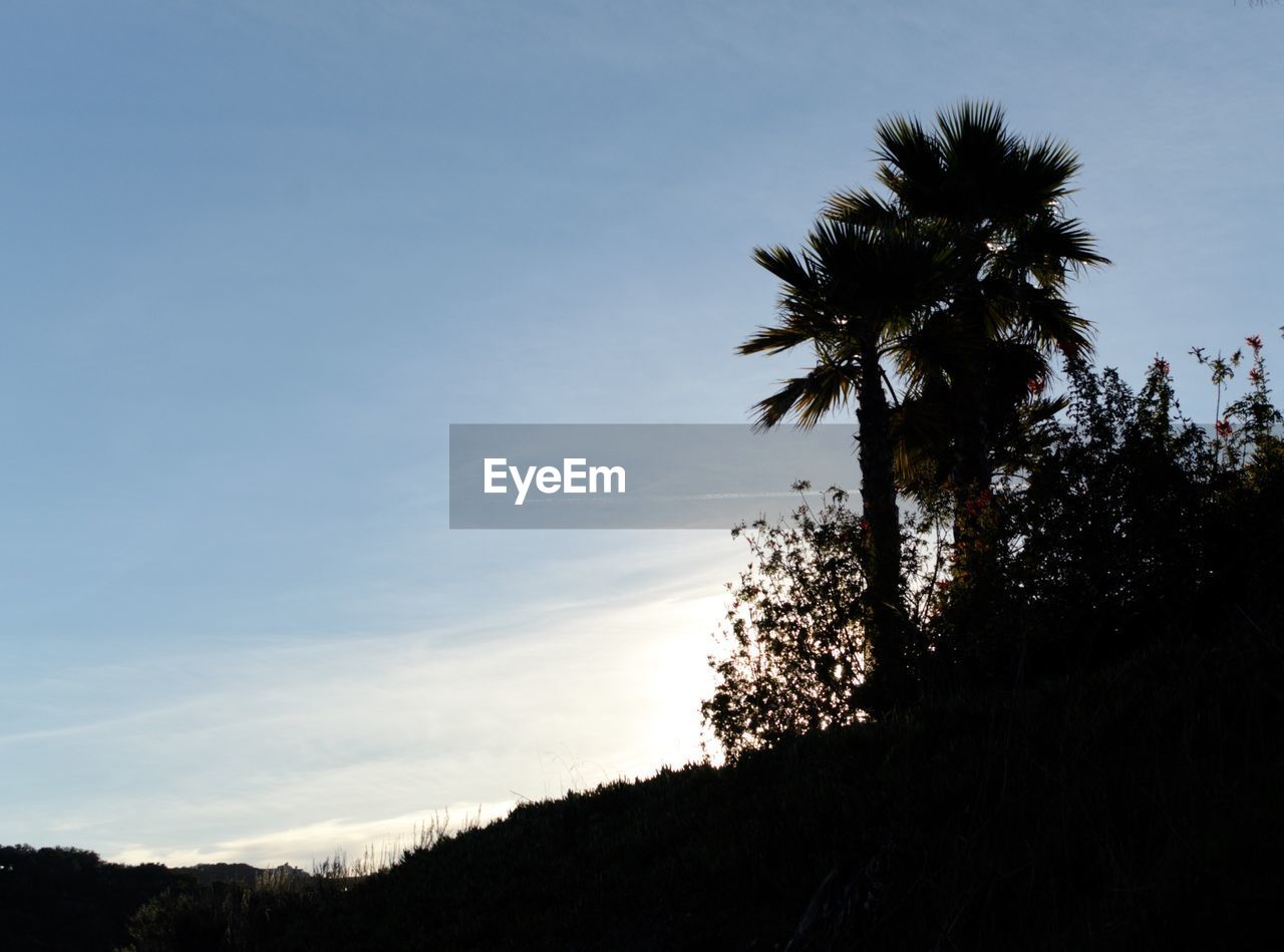 LOW ANGLE VIEW OF SILHOUETTE PALM TREES AGAINST SKY AT SUNSET