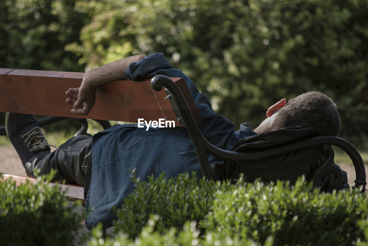 Rear view of man relaxing on park bench