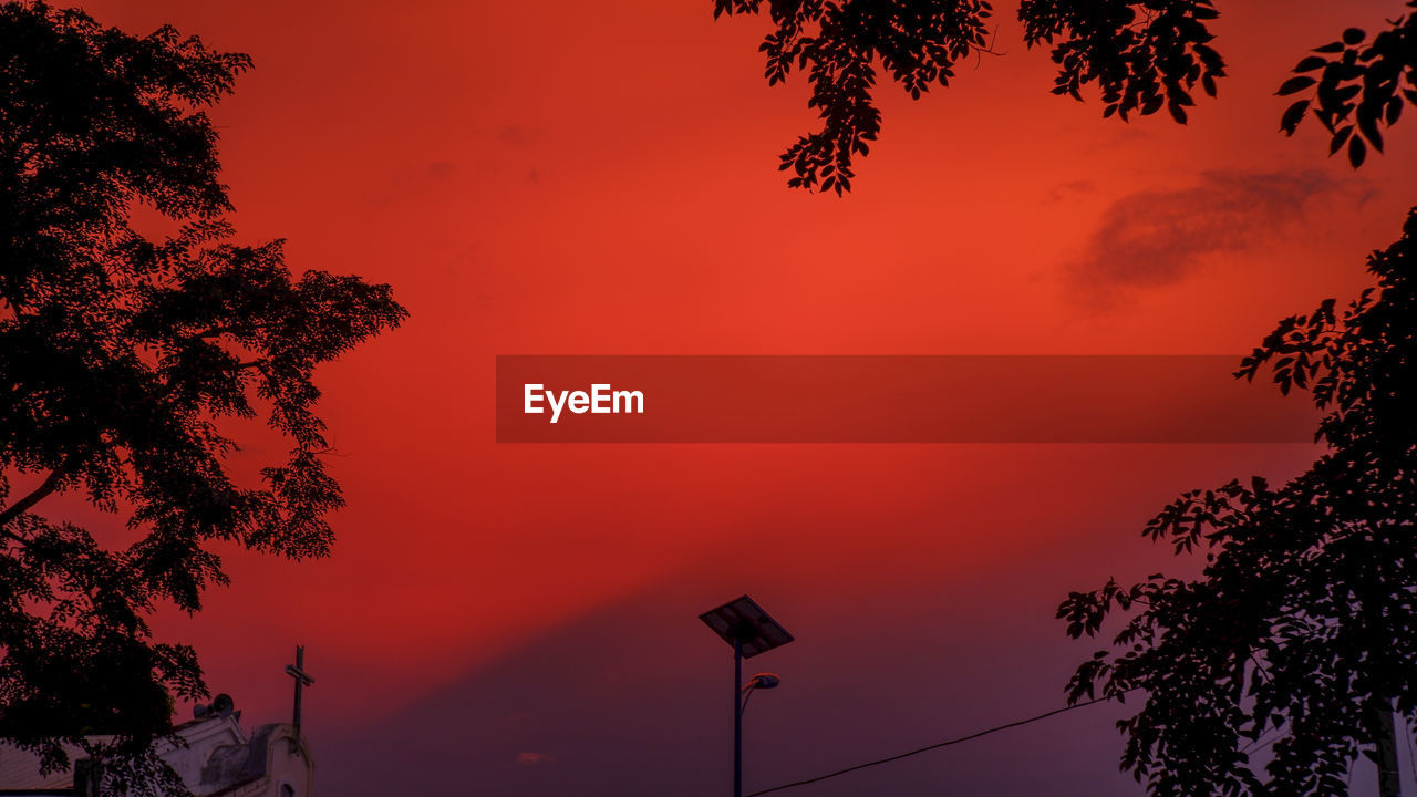 LOW ANGLE VIEW OF SILHOUETTE TREES AGAINST SKY DURING SUNSET