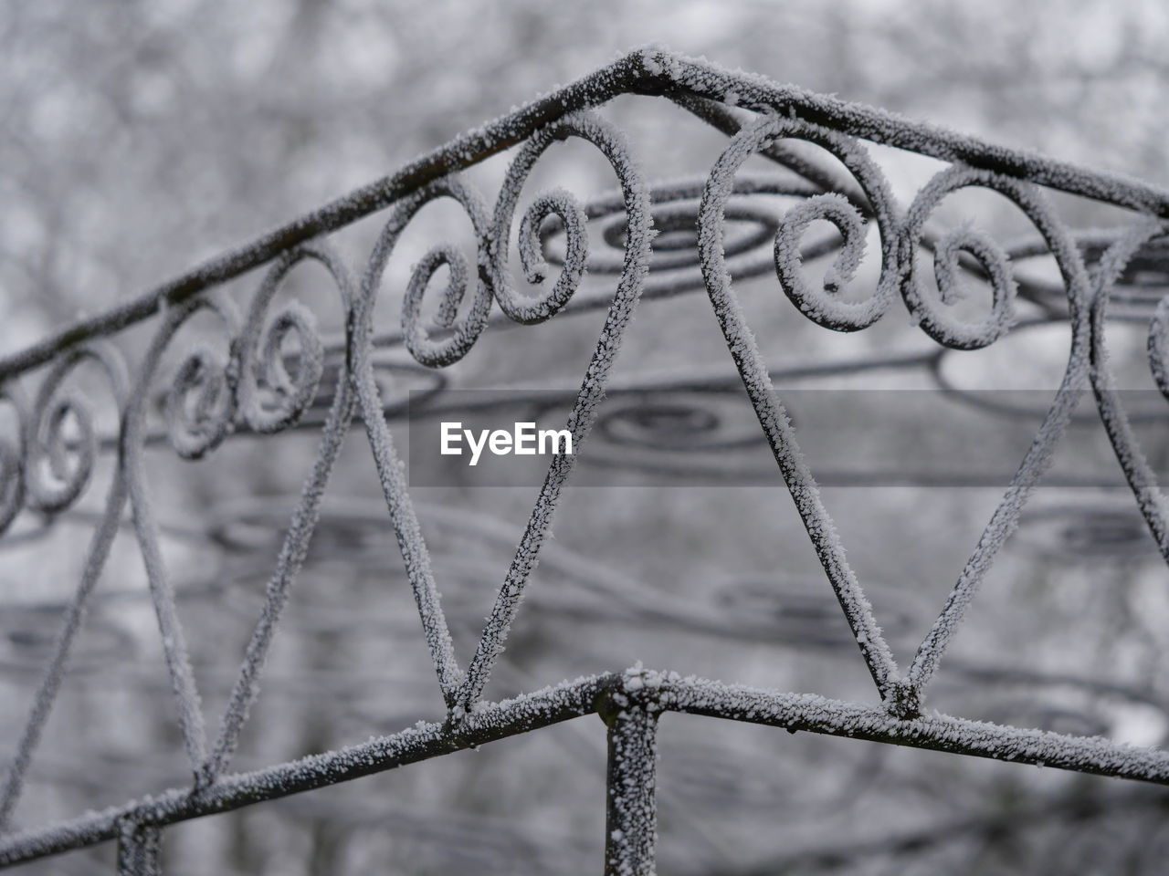 Close-up of frozen gate