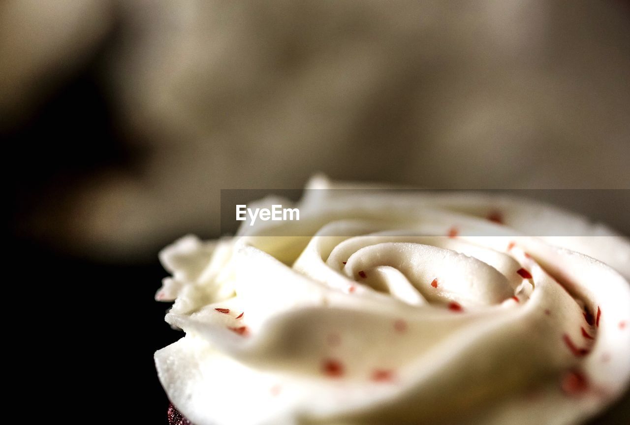 Close-up of cupcake