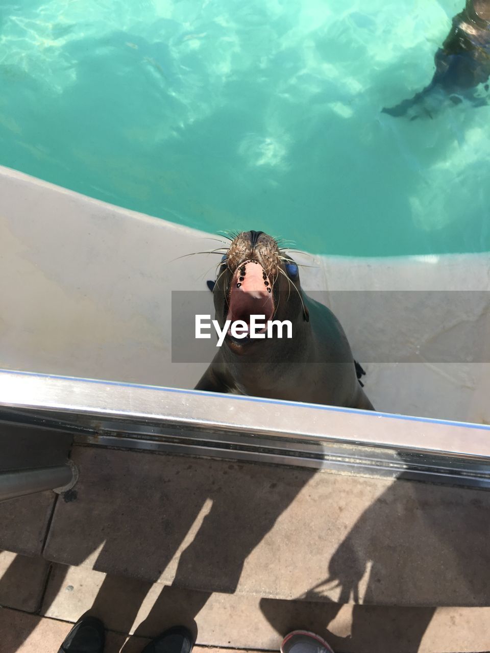 HIGH ANGLE VIEW OF MAN SWIMMING IN SEA