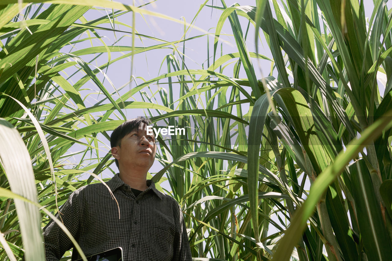 MAN STANDING IN FARM