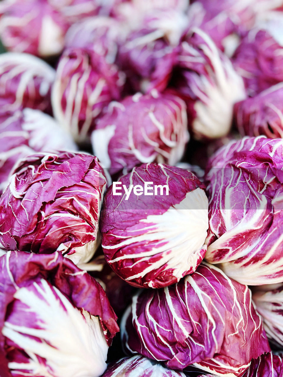 freshness, pink, food and drink, food, flower, petal, healthy eating, vegetable, purple, wellbeing, close-up, produce, no people, full frame, bouquet, abundance, backgrounds, raw food, large group of objects, organic, plant, still life, floristry, nature, market, indoors