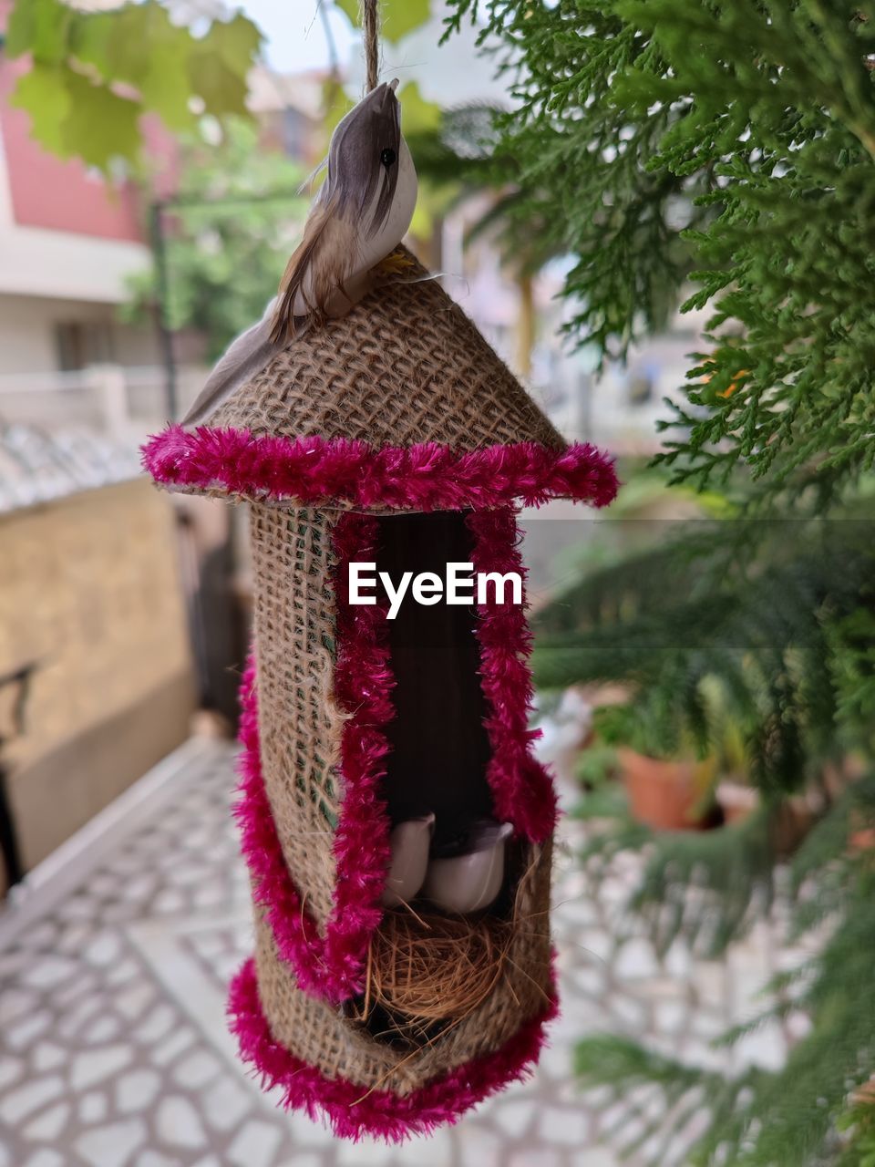 CLOSE-UP OF HAT HANGING ON PLANT