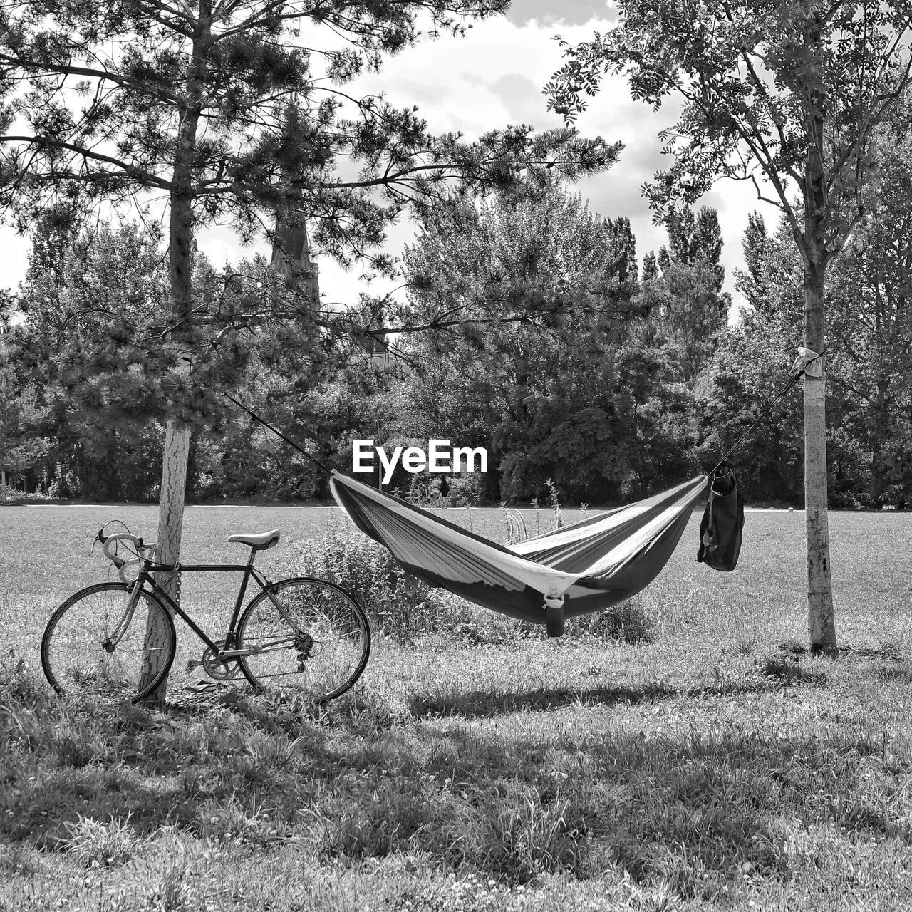 Bicycle by trees against sky