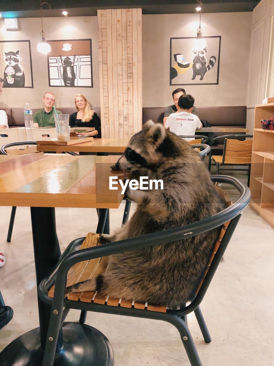 DOG SITTING ON TABLE IN CAFE