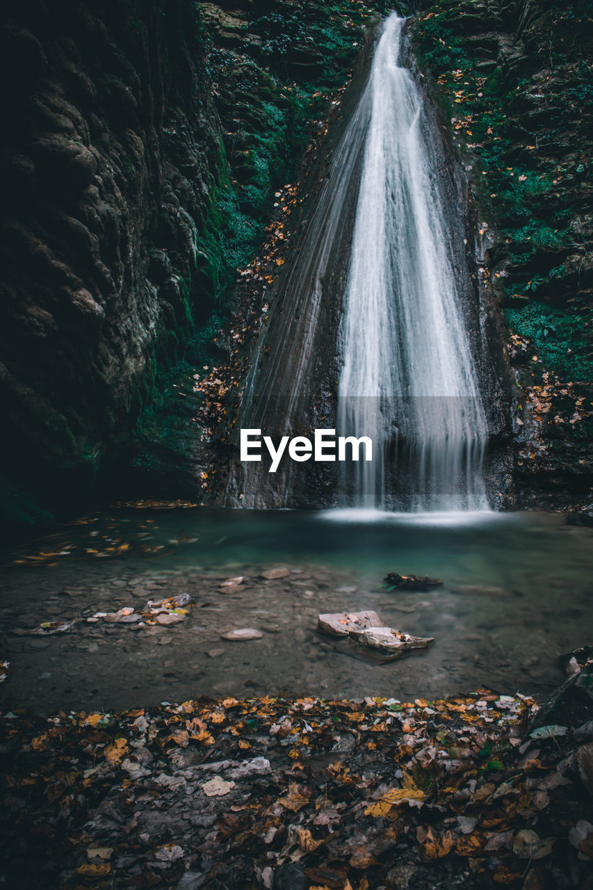 Scenic view of waterfall in forest