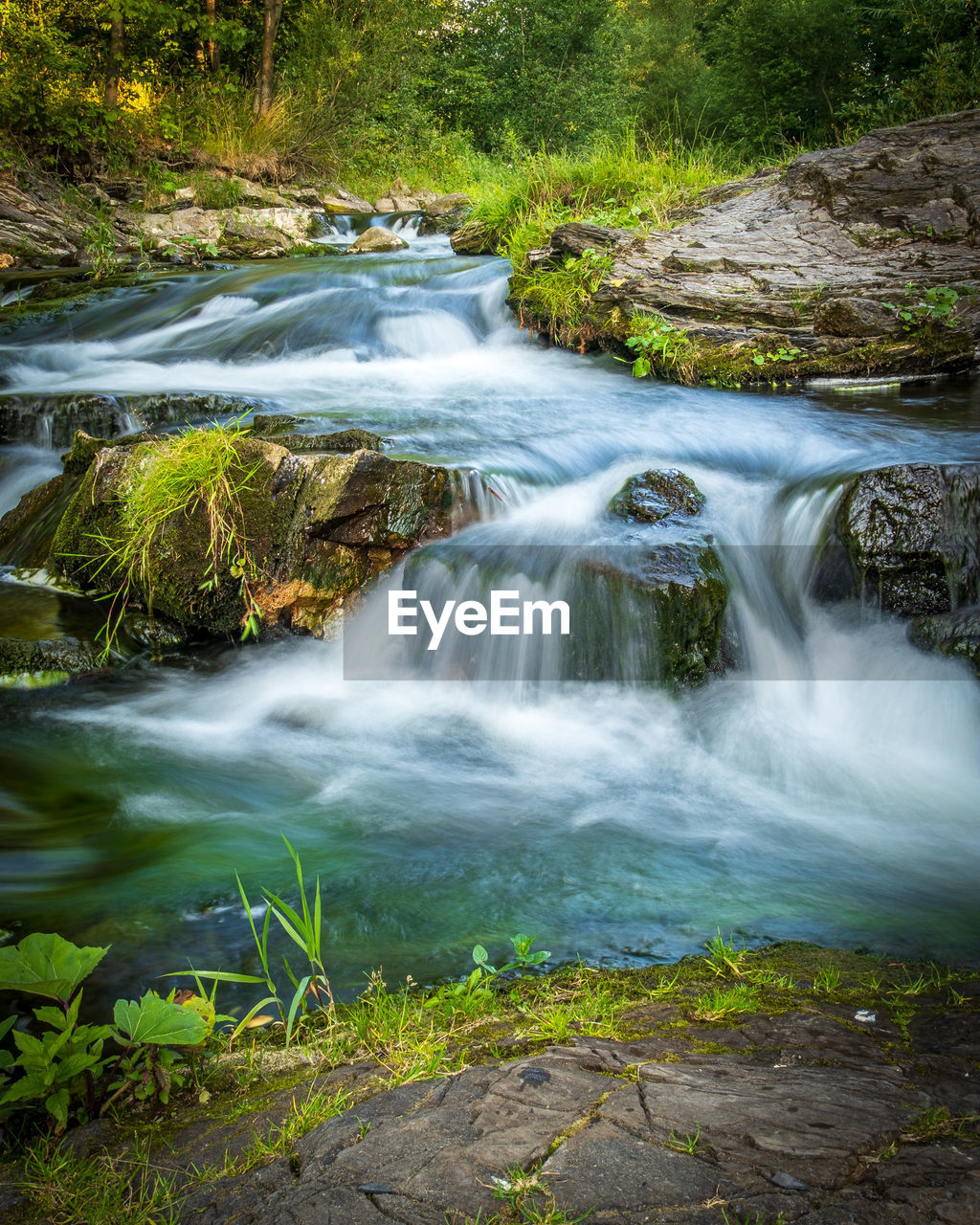 VIEW OF WATERFALL IN FOREST