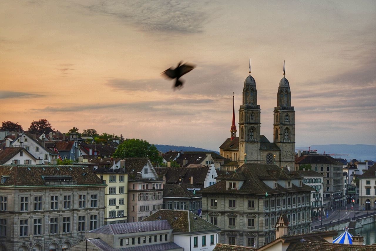 Blurred motion of silhouette bird flying over city during sunset