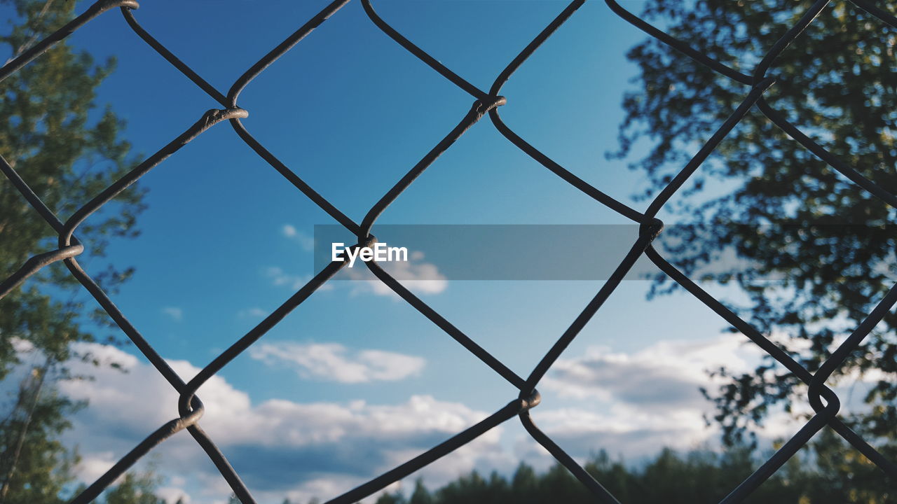 Trees against sky seen through chainlink fence
