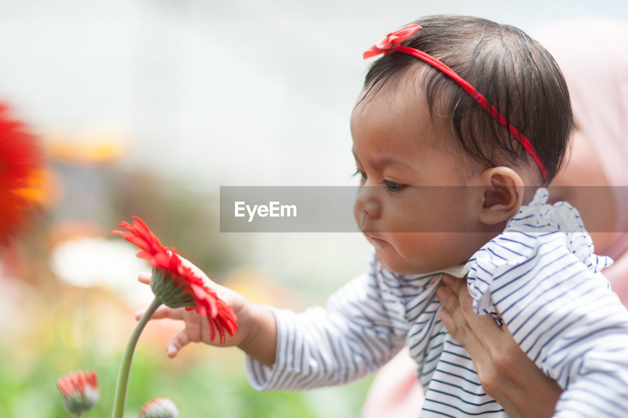 Close-up of girl touching flower 