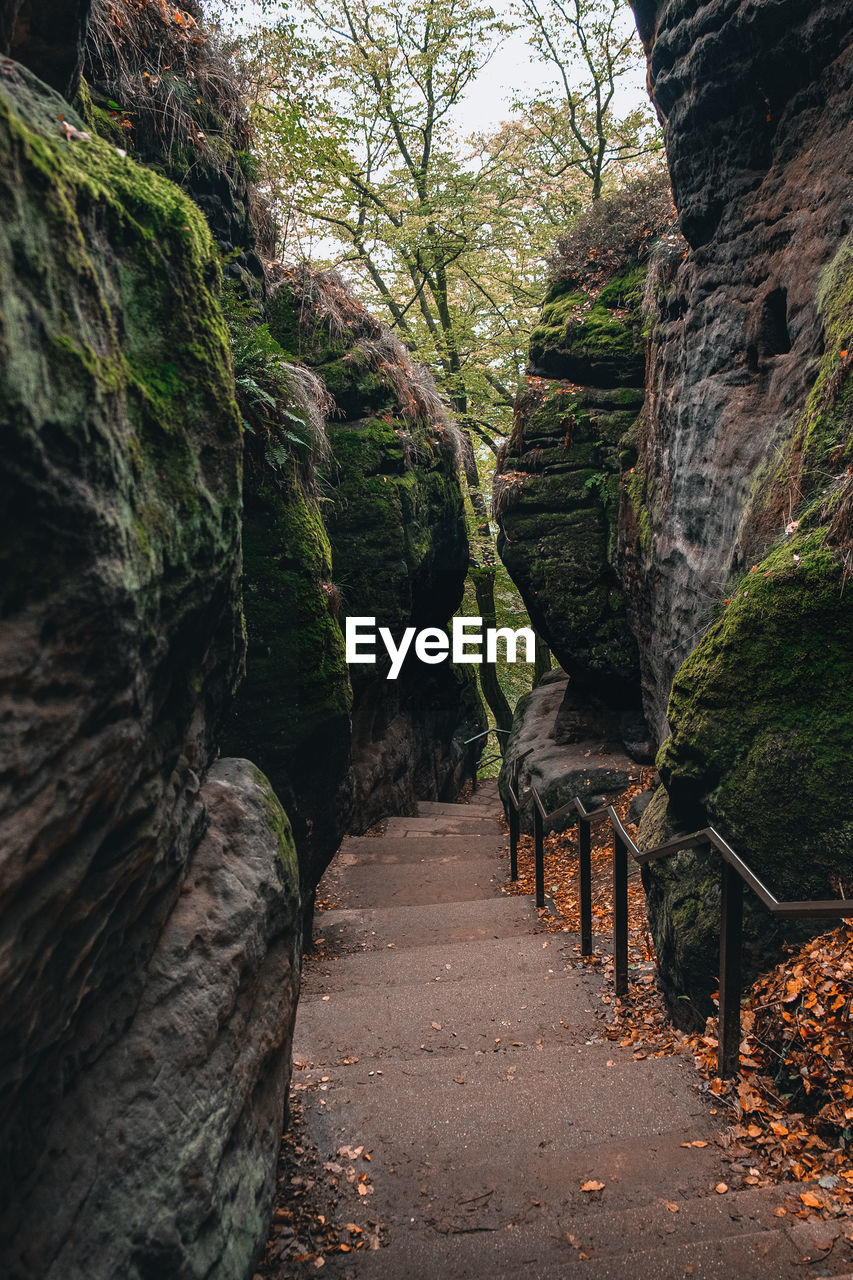 Footpath amidst rocks in forest