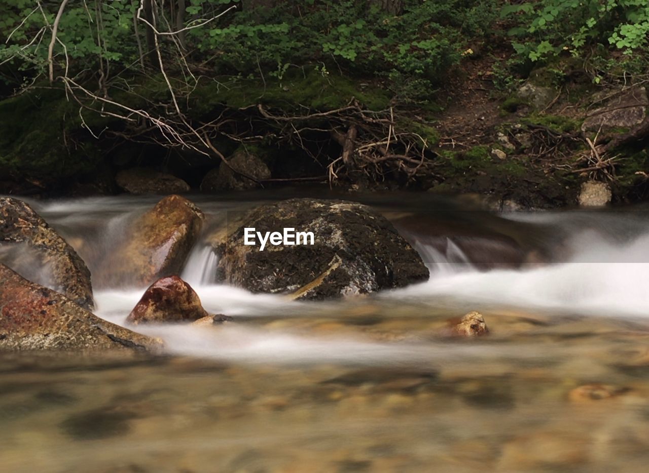 Scenic view of waterfall in forest