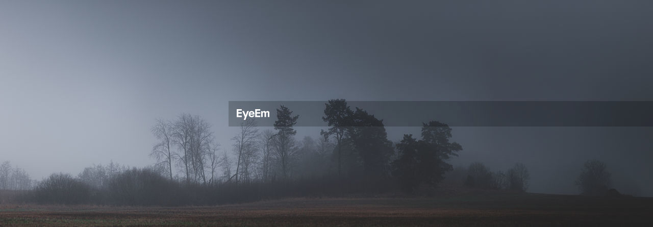 Trees on field against sky