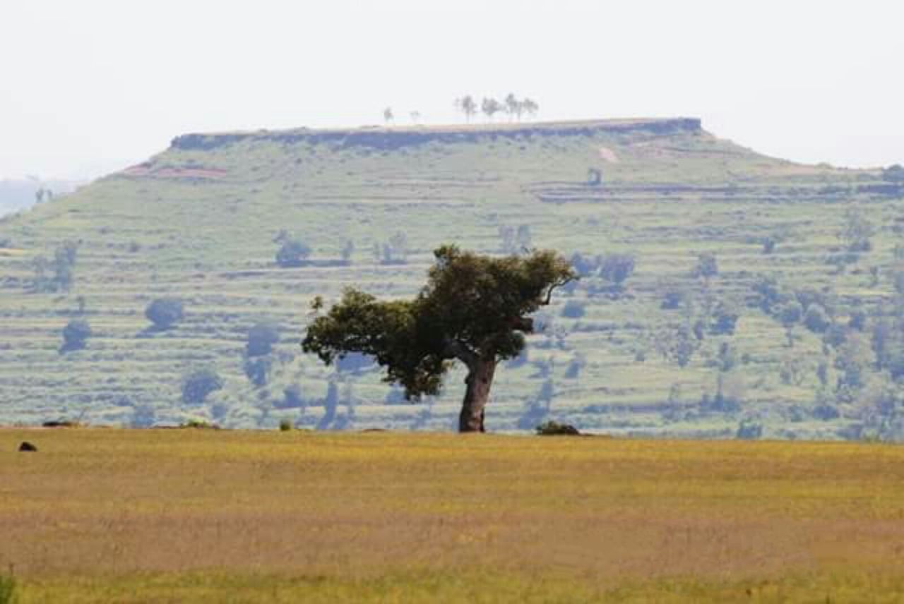 VIEW OF LANDSCAPE AGAINST SKY