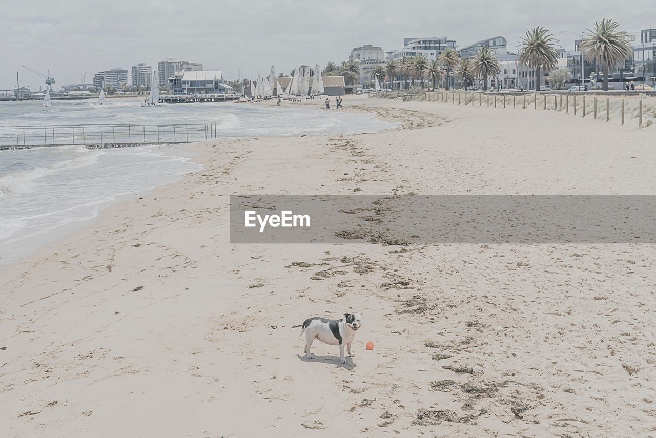 Scenic view of beach against sky in city