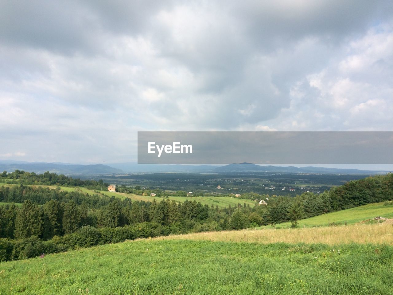 SCENIC VIEW OF GRASSY FIELD AGAINST SKY