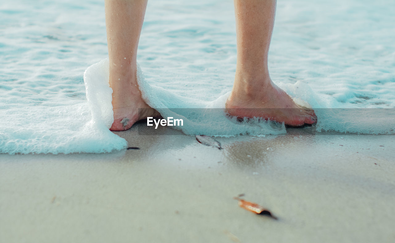 Low section of person standing on beach