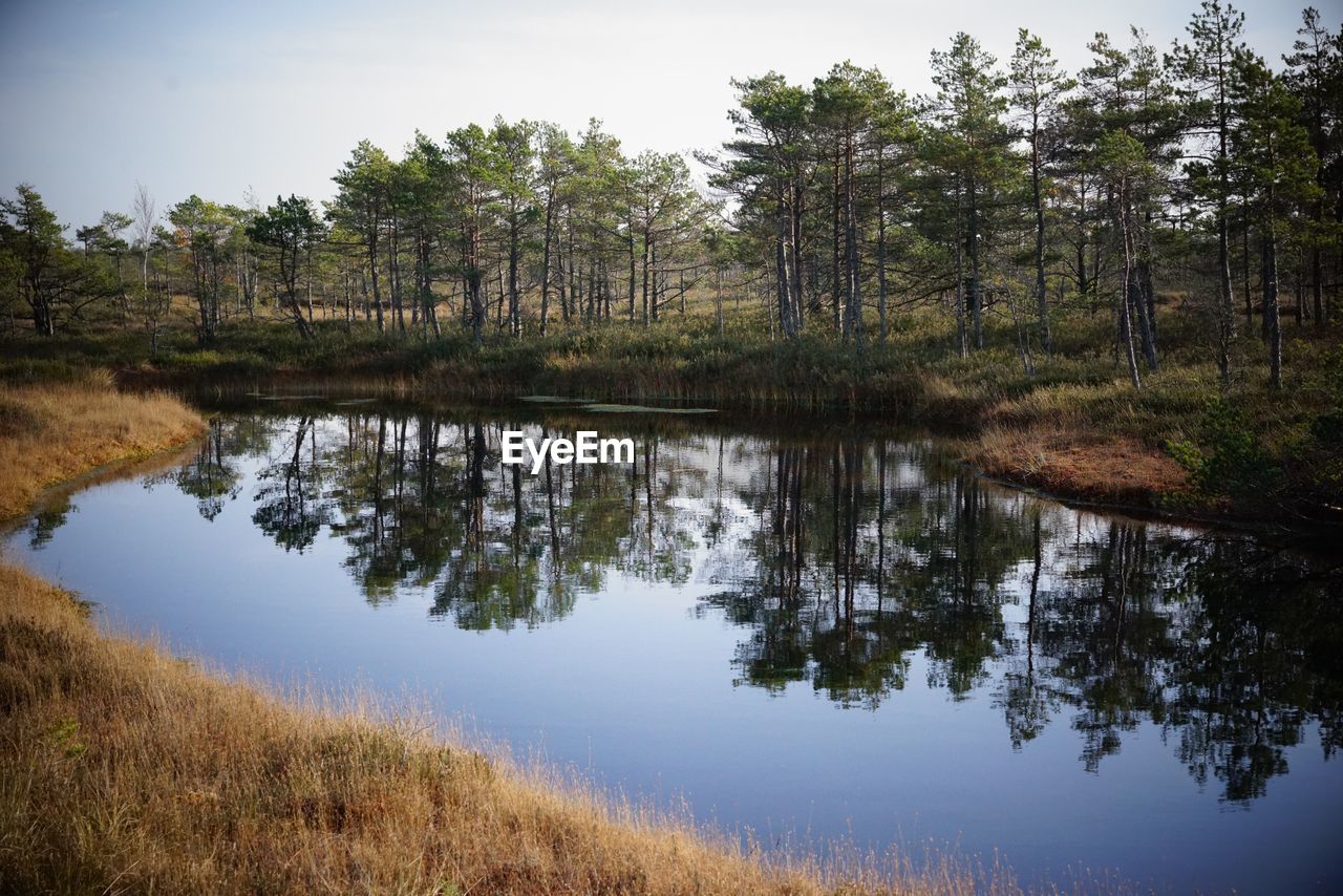 Reflection of trees in lake against sky