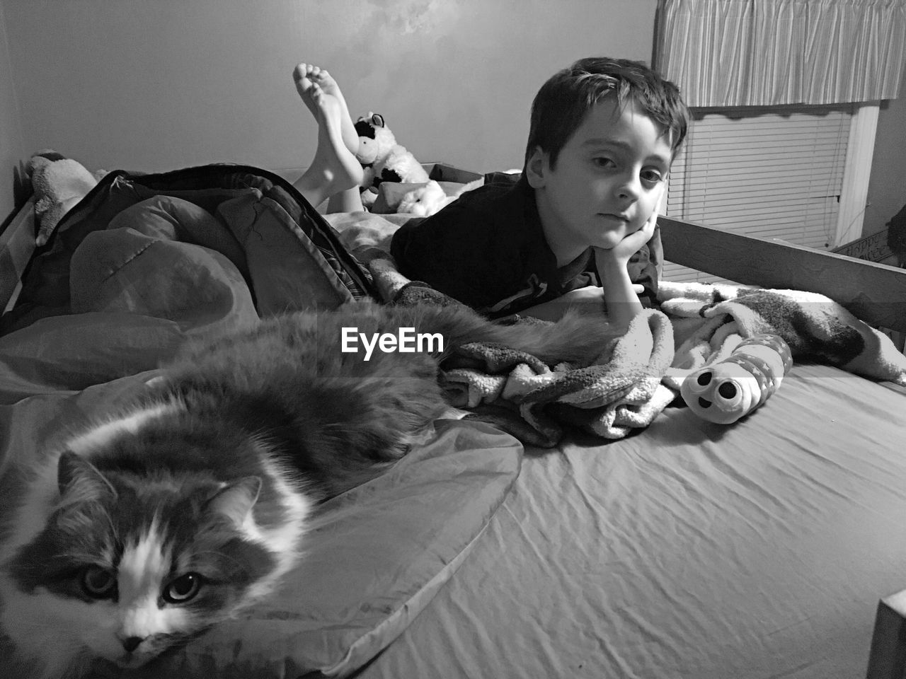 Portrait of boy and cat on bed at home