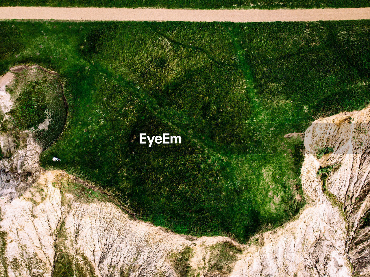 Close-up of moss on rock