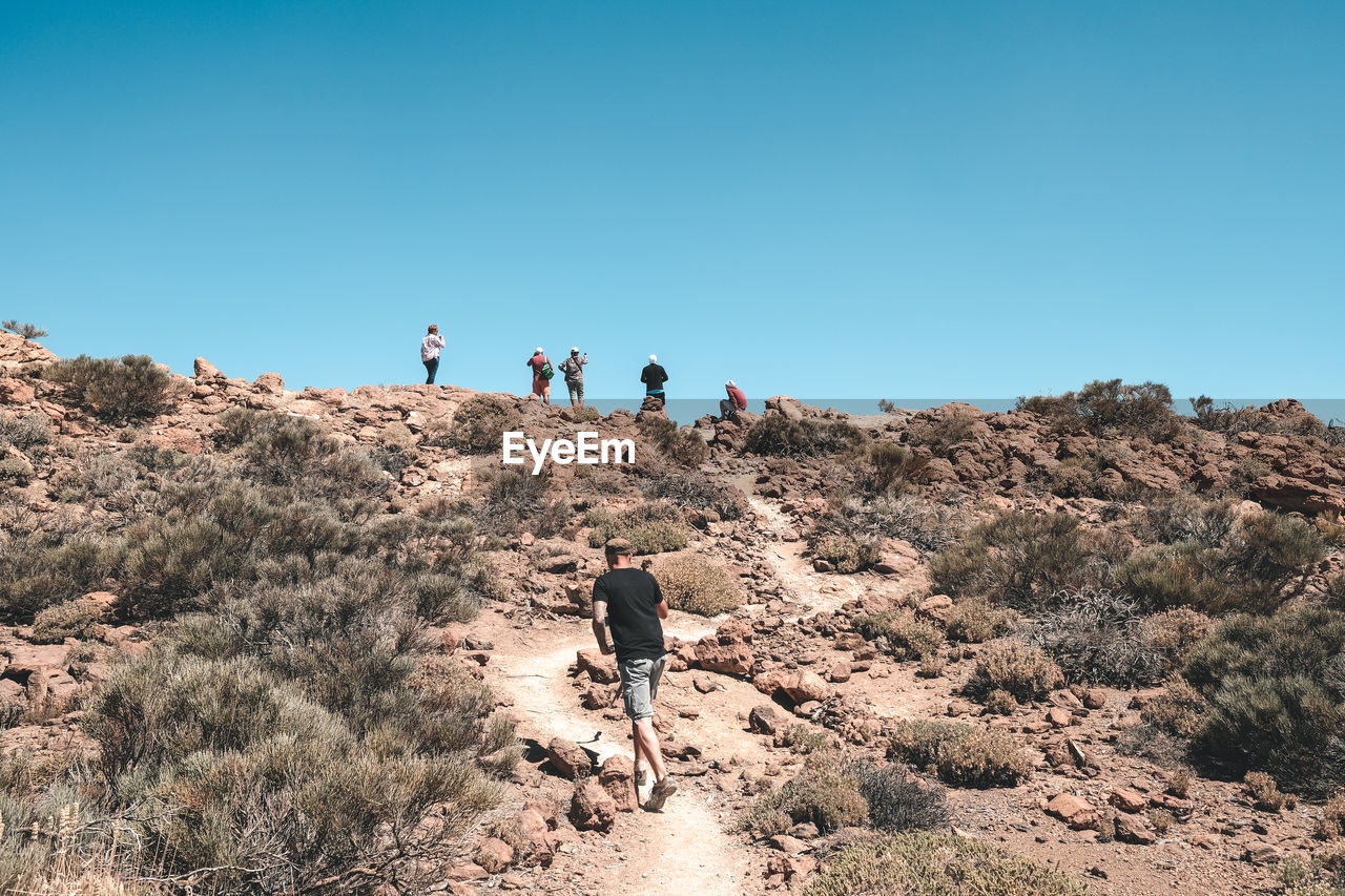 Rear view of people walking on road against clear sky