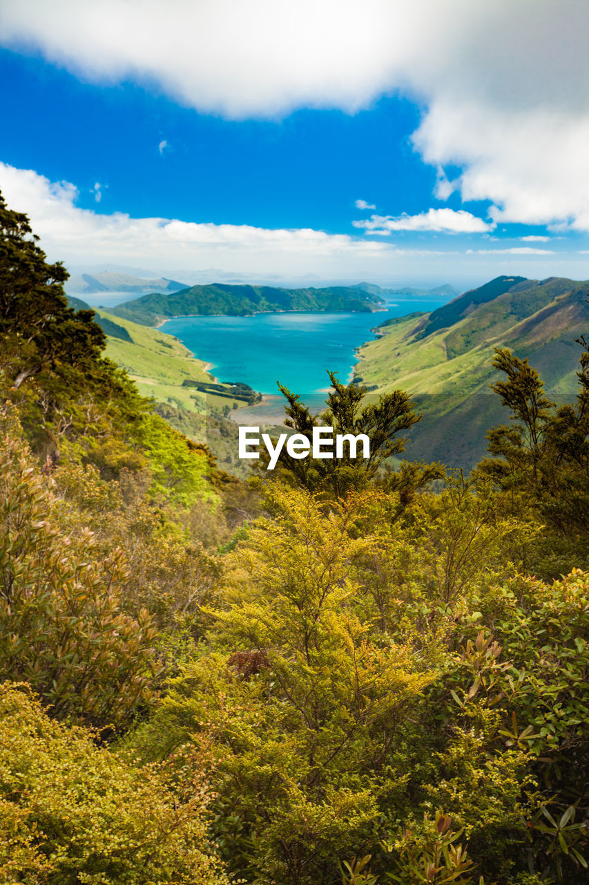 SCENIC VIEW OF TREES AND LANDSCAPE AGAINST SKY