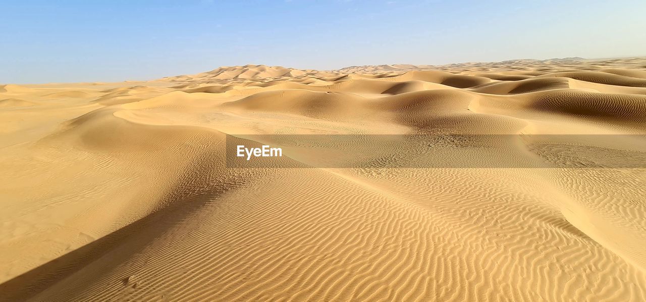 SAND DUNES IN DESERT