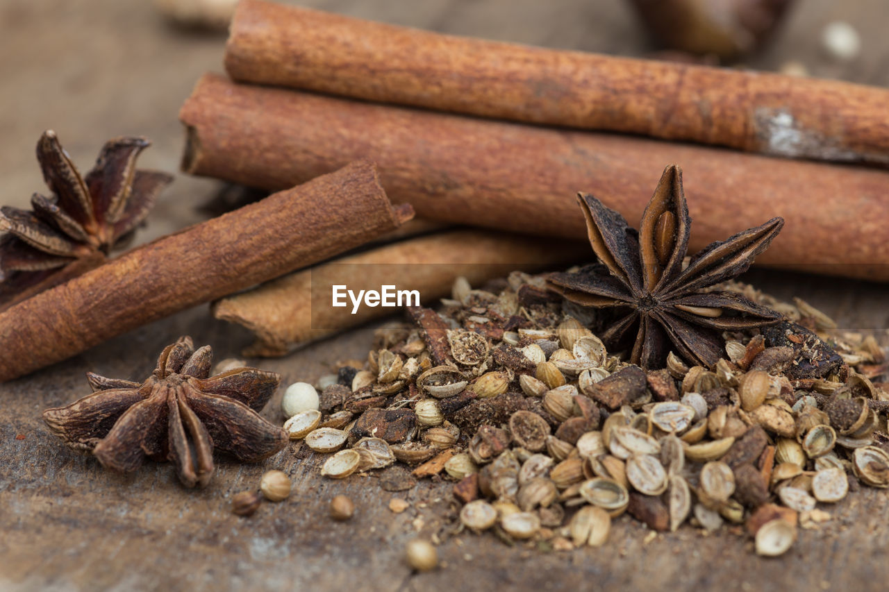 CLOSE-UP OF DEAD PLANT