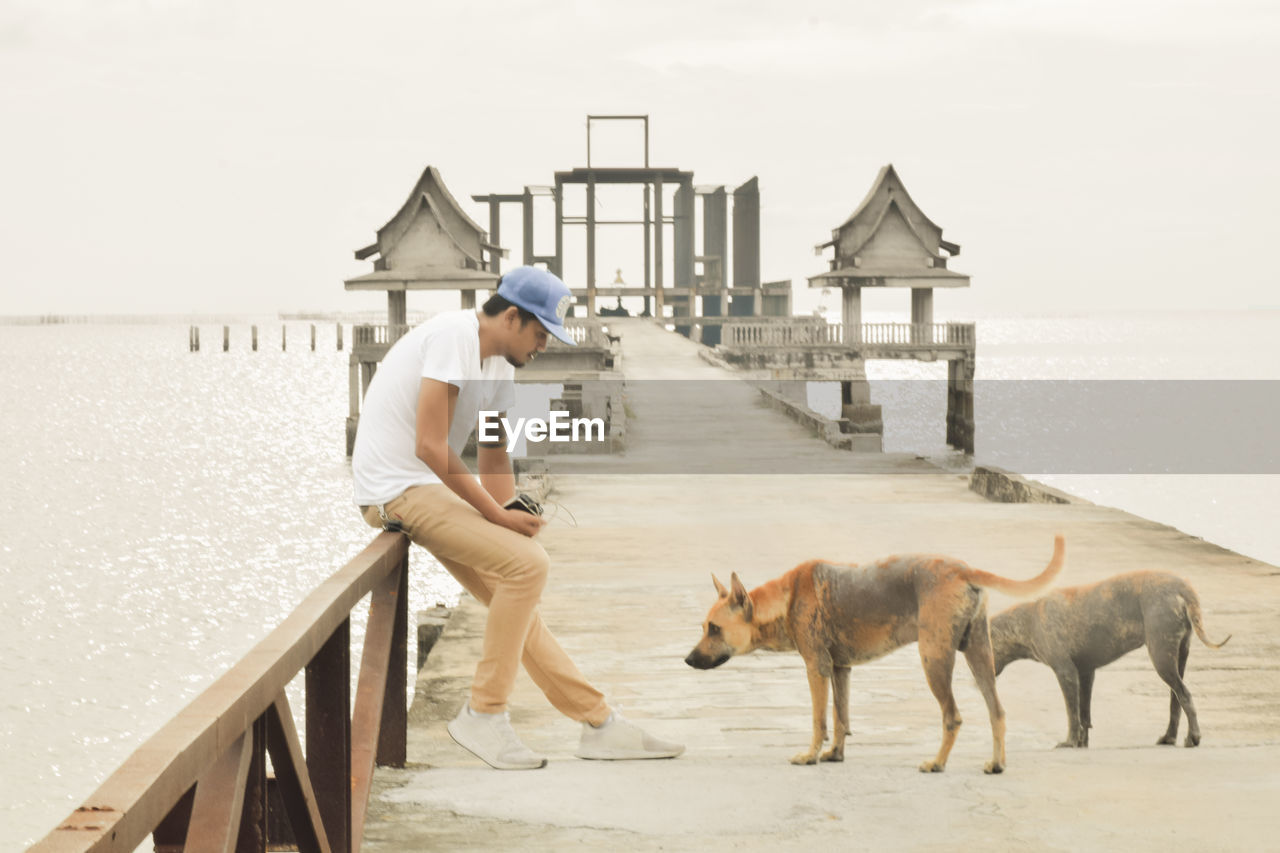 Man looking at dogs while sitting on railing of pier