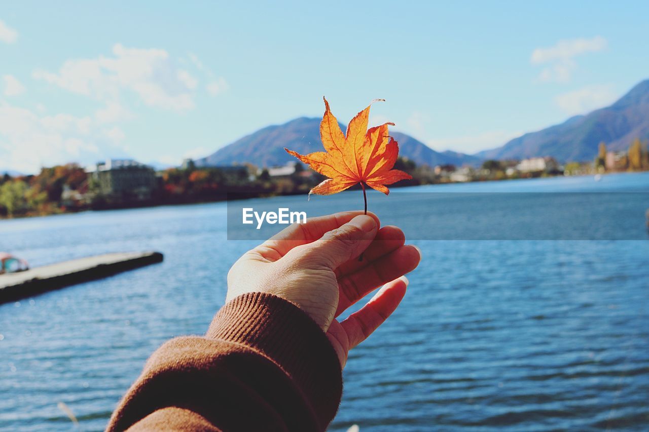 Close-up of hand holding maple leaf by lake during autumn