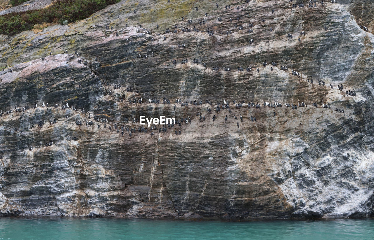 scenic view of sea against mountain