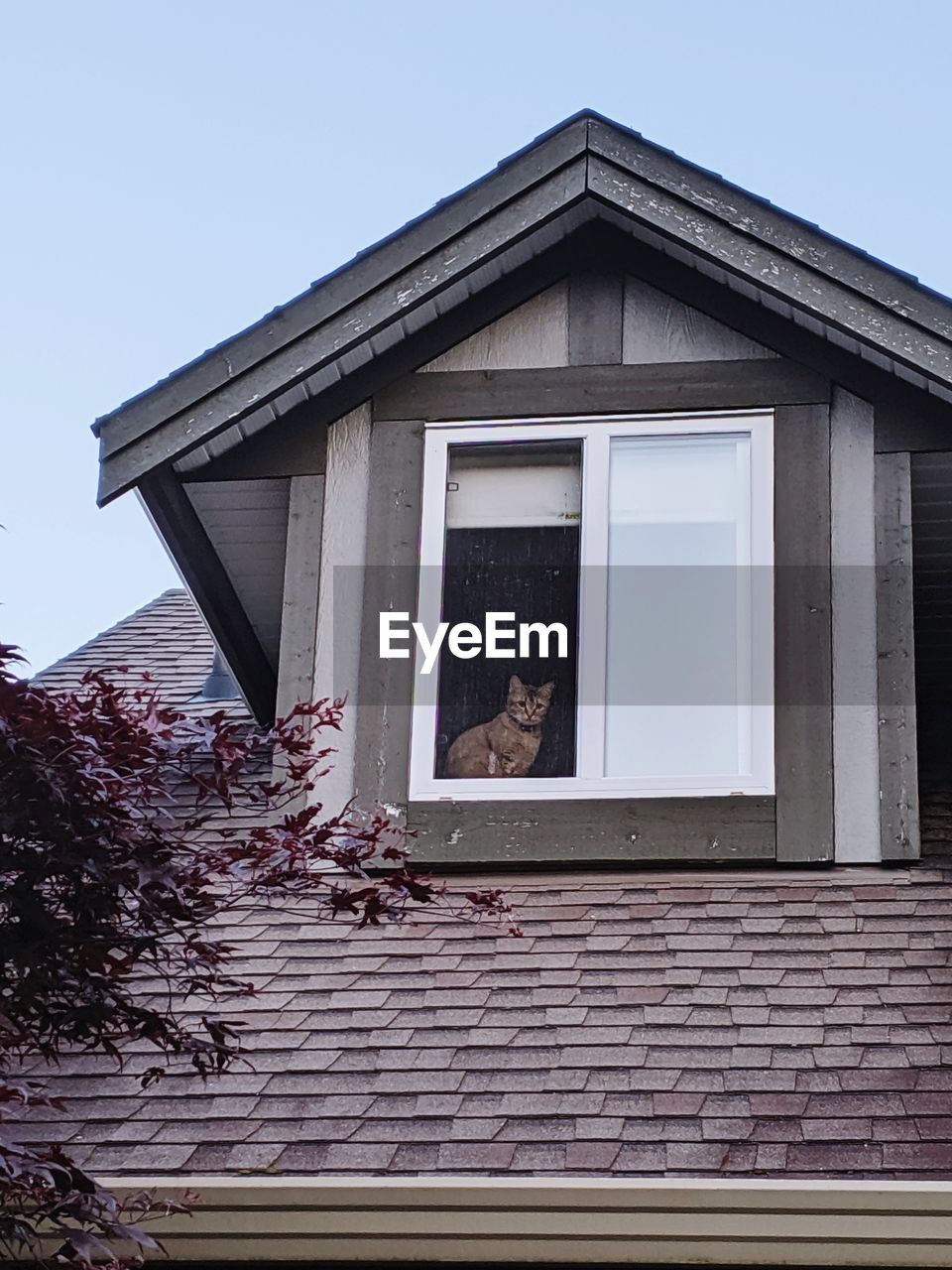 LOW ANGLE VIEW OF A HOUSE WINDOW