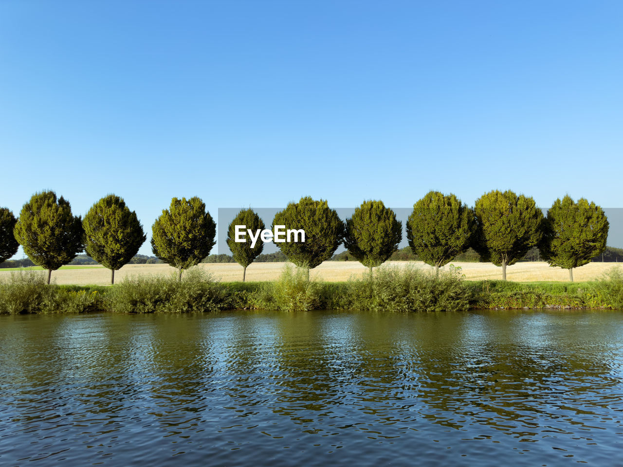 reflection, water, tree, nature, plant, sky, scenics - nature, tranquility, clear sky, beauty in nature, blue, no people, lake, environment, landscape, tranquil scene, reservoir, land, outdoors, day, horizon, copy space, grass, green, shore, non-urban scene, body of water, sunny, summer, natural environment, morning, idyllic, forest, leaf, sunlight