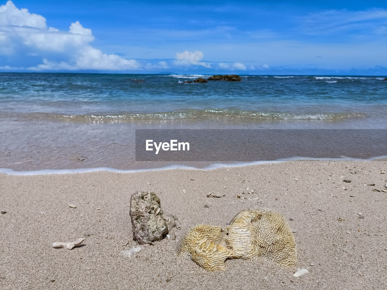Scenic view of beach against sky