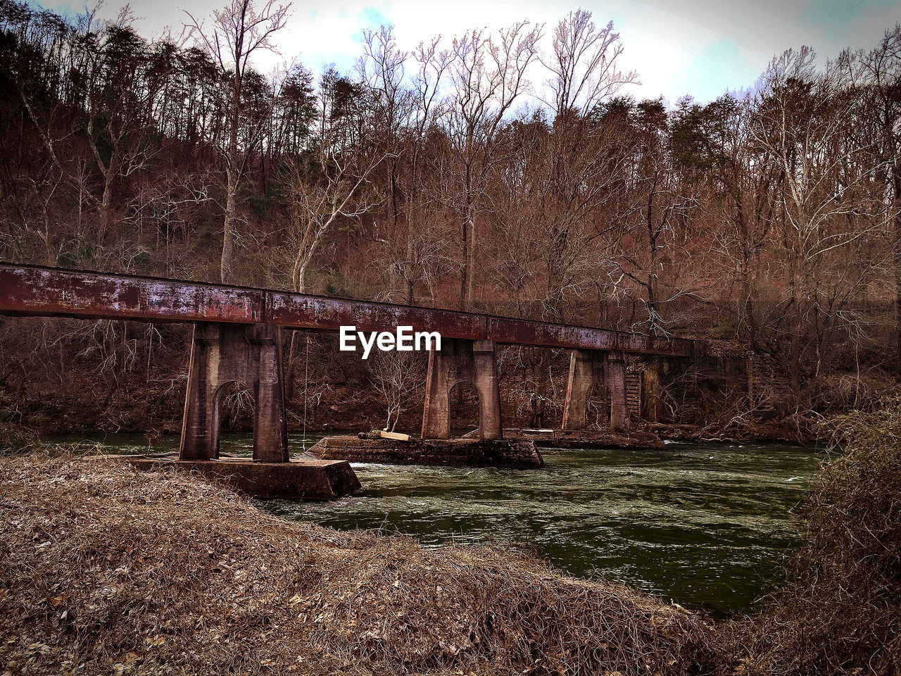 Architecture Bare Tree Beauty In Nature Branch Bridge Bridge - Man Made Structure Built Structure Connection Day Forest Growth Landscape Nature No People Outdoors River Scenics Sky Tranquility Tree Water EyeEmNewHere