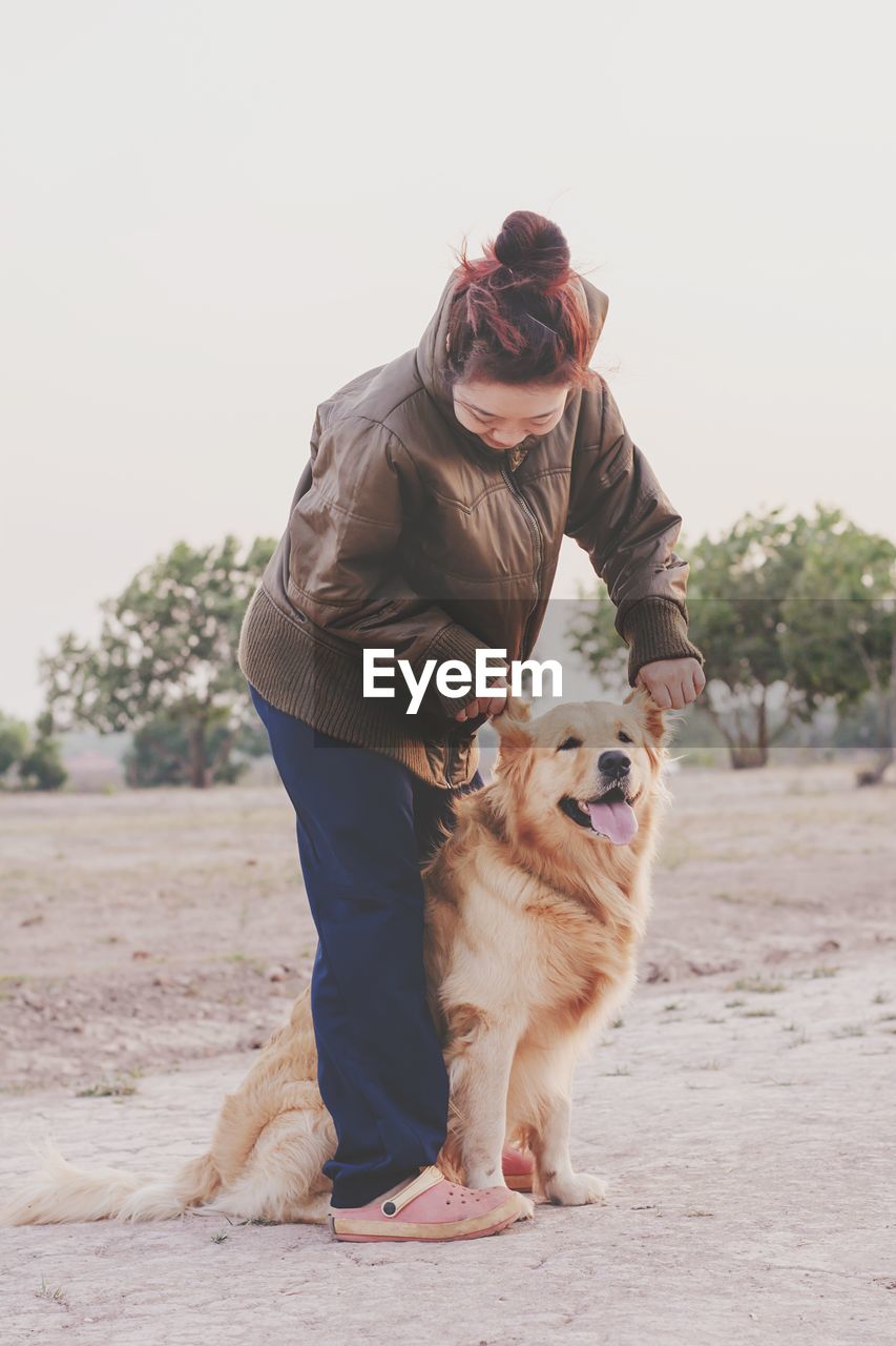 Woman holding golden retriever ears on field