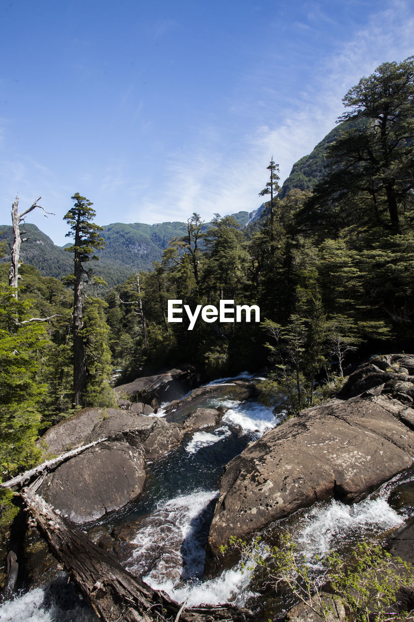 Scenic view of waterfall in forest against sky