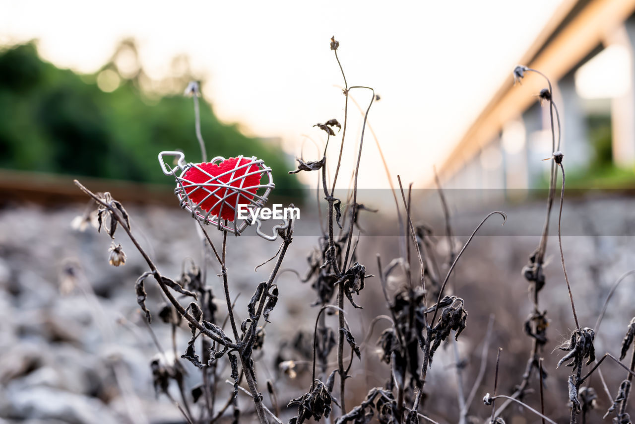 Red heart on the hay beside the train